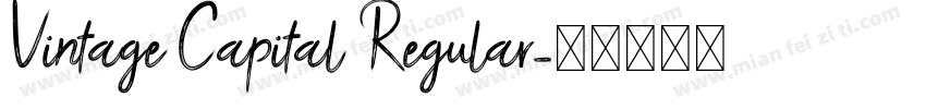 Vintage Capital Regular字体转换